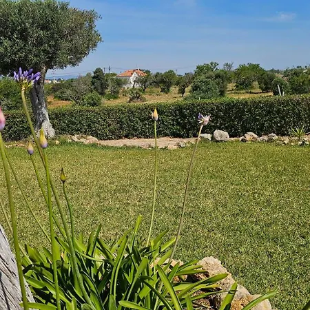 Villa Quinta Do Lagar - Rural Retreat By The #1 *