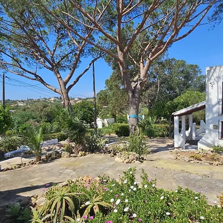 Villa Quinta Do Lagar - Rural Retreat By The #1