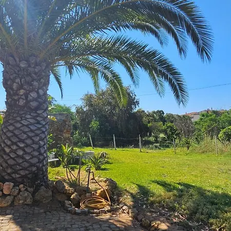 Villa Quinta Do Lagar - Rural Retreat By The #1